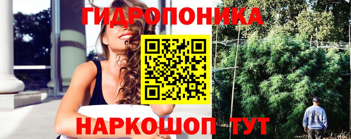Бошки марихуана ГИДРОПОН  Марихуана THC 21%  Северск  Вход с VPN  Шишки марихуана VHQ 